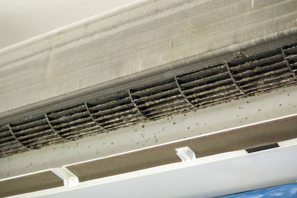Best Air Duct Cleaning Company Near Me  in Newport, WA
